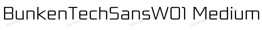 BunkenTechSansW01 MediumIt字体转换 BunkenTechSansW01 MediumIt字体转换